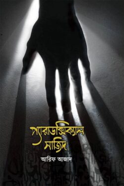 প্যারাডক্সিক্যাল সাজিদ
